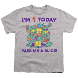 Teenage Mutant Ninja Turtles Pizza Birthday - Youth T-Shirt Youth T-Shirt (Ages 8-12) Teenage Mutant Ninja Turtles   