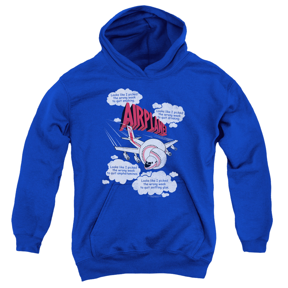 Airplane Picked The Wrong Day - Youth Hoodie (Ages 8-12) Youth Hoodie (Ages 8-12) Airplane   