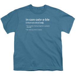 Princess Bride, The Definition - Youth T-Shirt Youth T-Shirt (Ages 8-12) The Princess Bride   
