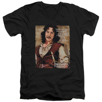 Black men's v-neck t-shirt with The Princess Bride Word graphic