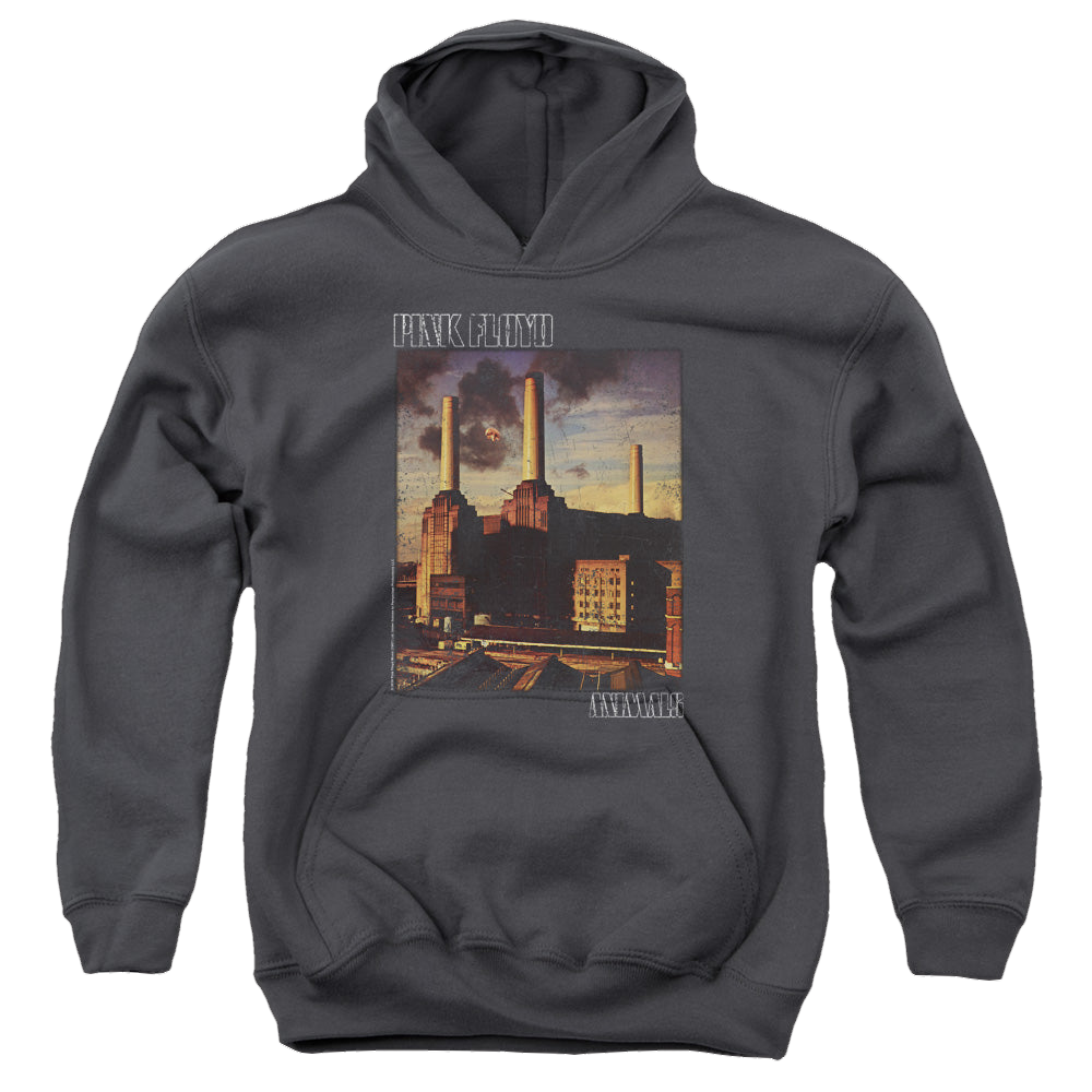 Pink Floyd Faded Animals - Youth Hoodie Youth Hoodie (Ages 8-12) Pink Floyd   