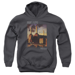 Pink Floyd Faded Animals - Youth Hoodie Youth Hoodie (Ages 8-12) Pink Floyd   