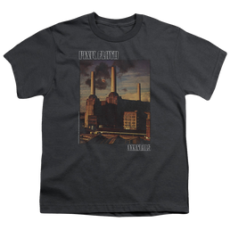 Pink Floyd Faded Animals - Youth T-Shirt Youth T-Shirt (Ages 8-12) Pink Floyd   