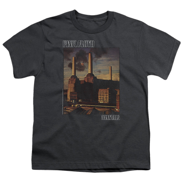 Charcoal youth t-shirt for ages 8 to 12 with Pink Floyd Faded Animals graphic