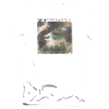 White men's premium slim fit t-shirt with Pink Floyd Saucerful Of Secrets graphic