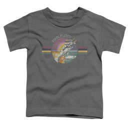 Pink Floyd Welcome To The Machine - Kid's T-Shirt Kid's T-Shirt (Ages 4-7) Pink Floyd   