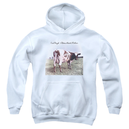 Pink Floyd Atom Heart Mother - Youth Hoodie Youth Hoodie (Ages 8-12) Pink Floyd   
