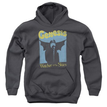 Charcoal youth hoodie for ages 8 to 12 with Genesis Watcher Of The Skies graphic