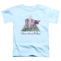 Pink Floyd Atom Mother Heart Pyramid - Toddler T-Shirt Toddler T-Shirt Pink Floyd   