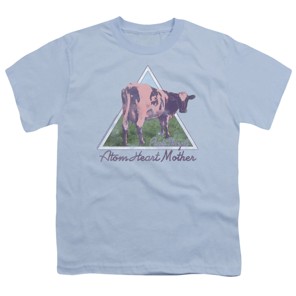 Pink Floyd Atom Mother Heart Pyramid - Youth T-Shirt Youth T-Shirt (Ages 8-12) Pink Floyd   