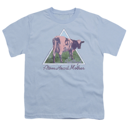 Pink Floyd Atom Mother Heart Pyramid - Youth T-Shirt Youth T-Shirt (Ages 8-12) Pink Floyd   