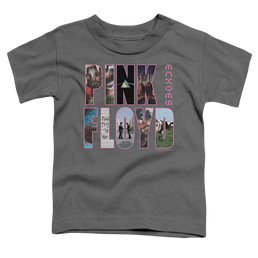 Pink Floyd Cover - Toddler T-Shirt Toddler T-Shirt Pink Floyd   