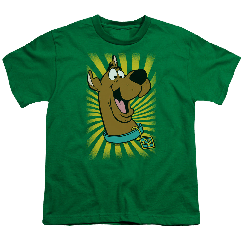Scooby Doo Scooby-Doo™ - T-Shirt - Youth T-Shirt Youth T-Shirt (Ages 8-12) Scooby Doo   