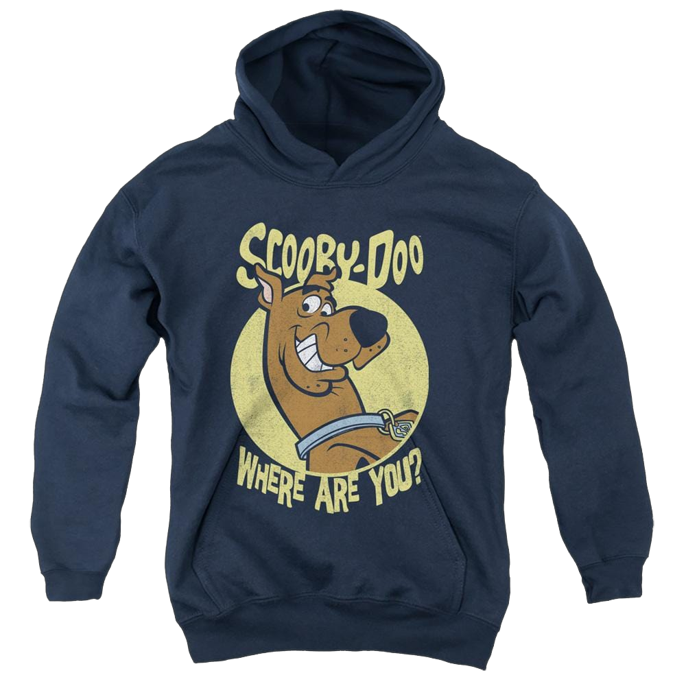 Scooby Doo Where Are You - Youth Hoodie Youth Hoodie (Ages 8-12) Scooby Doo   