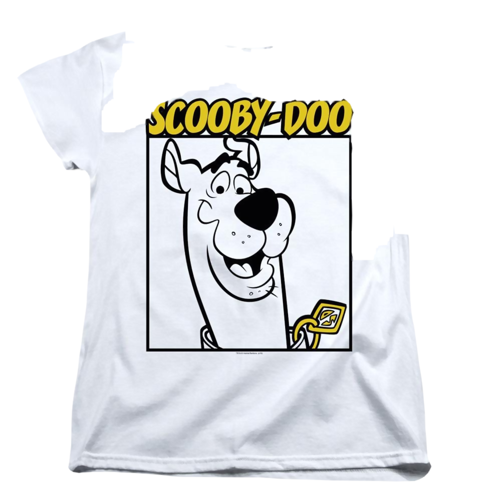 Scooby Doo Scooby Square - Women's T-Shirt Women's T-Shirt Scooby Doo   