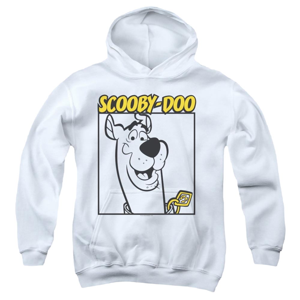 Scooby Doo Scooby Square - Youth Hoodie Youth Hoodie (Ages 8-12) Scooby Doo   