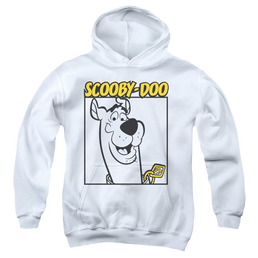 Scooby Doo Scooby Square - Youth Hoodie Youth Hoodie (Ages 8-12) Scooby Doo   