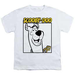 Scooby Doo Scooby Square - Youth T-Shirt Youth T-Shirt (Ages 8-12) Scooby Doo   