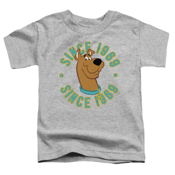 Athletic heather toddler t-shirt with Scooby Doo Scooby 1969 graphic