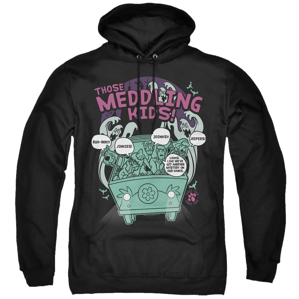 Scooby Doo Meddling Since 1969 - Pullover Hoodie Pullover Hoodie Scooby Doo   