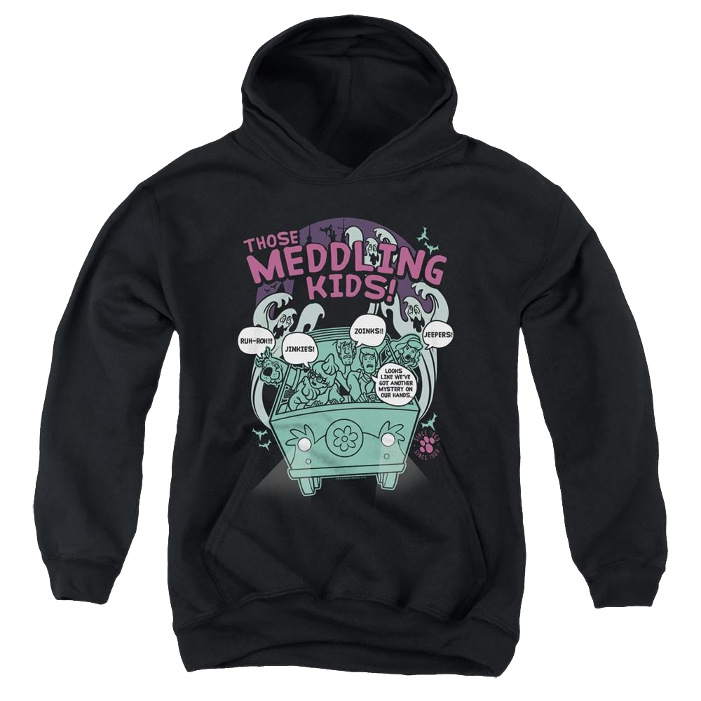 Scooby Doo Meddling Since 1969 - Youth Hoodie Youth Hoodie (Ages 8-12) Scooby Doo   
