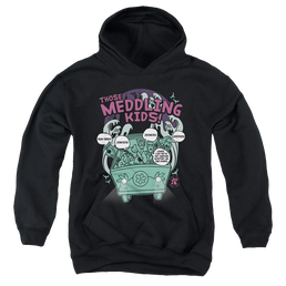 Scooby Doo Meddling Since 1969 - Youth Hoodie Youth Hoodie (Ages 8-12) Scooby Doo   