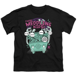 Scooby Doo Meddling Since 1969 - Youth T-Shirt Youth T-Shirt (Ages 8-12) Scooby Doo   