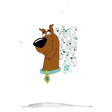 White kid's t-shirt for ages 4 to 7 with Evolution Of Scooby Doo graphic