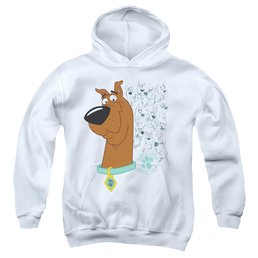 Scooby Doo Evolution Of Scooby Doo - Youth Hoodie Youth Hoodie (Ages 8-12) Scooby Doo   