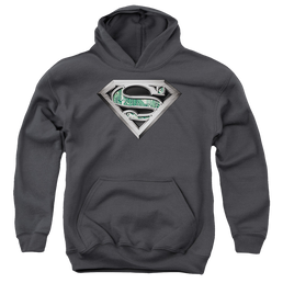 Superman Circuitry Logo - Youth Hoodie Youth Hoodie (Ages 8-12) Superman   