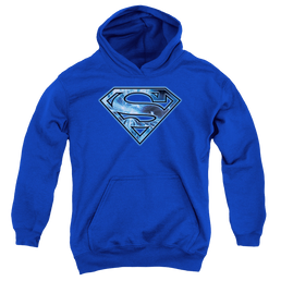Superman On Ice Shield - Youth Hoodie Youth Hoodie (Ages 8-12) Superman   