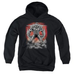 Superman Doomsday Dust - Youth Hoodie Youth Hoodie (Ages 8-12) Superman   