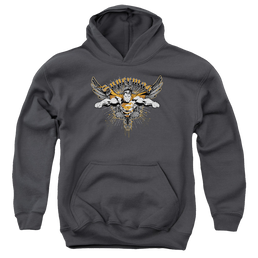 Superman Take Wing - Youth Hoodie Youth Hoodie (Ages 8-12) Superman   