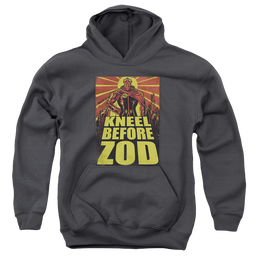 Superman Zod Poster - Youth Hoodie Youth Hoodie (Ages 8-12) Superman   