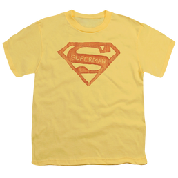 Superman Roughen Shield - Youth T-Shirt Youth T-Shirt (Ages 8-12) Superman   