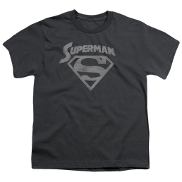 Superman Super Arch - Youth T-Shirt Youth T-Shirt (Ages 8-12) Superman   