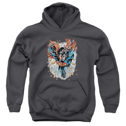 Superman Within My Grasp - Youth Hoodie Youth Hoodie (Ages 8-12) Superman   
