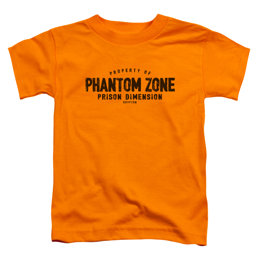 Superman Phantom Zone - Toddler T-Shirt Toddler T-Shirt Superman   