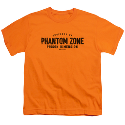 Superman Phantom Zone - Youth T-Shirt Youth T-Shirt (Ages 8-12) Superman   