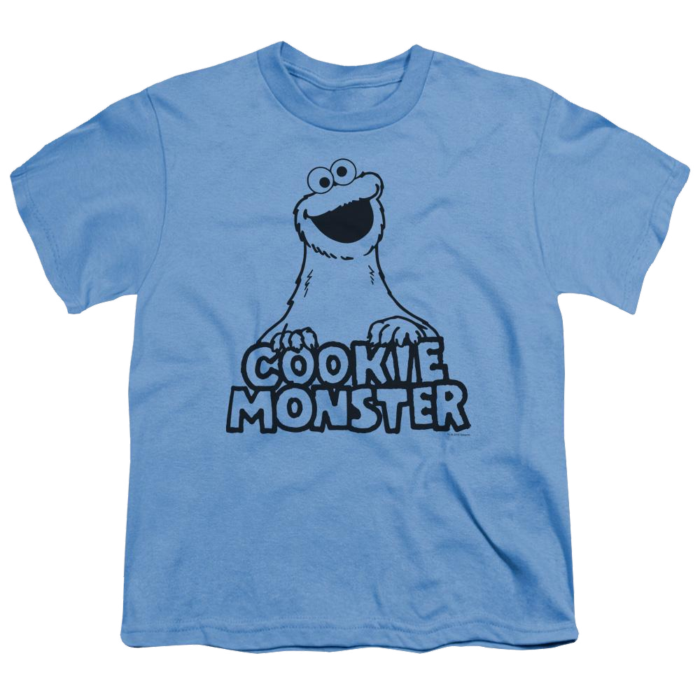 Sesame Street Vintage Cookie Monster Youth T-Shirt (Ages 8-12) Youth T-Shirt (Ages 8-12) Sesame Street   