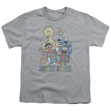 Sesame Street Colorful Group Youth T-Shirt (Ages 8-12) Youth T-Shirt (Ages 8-12) Sesame Street   