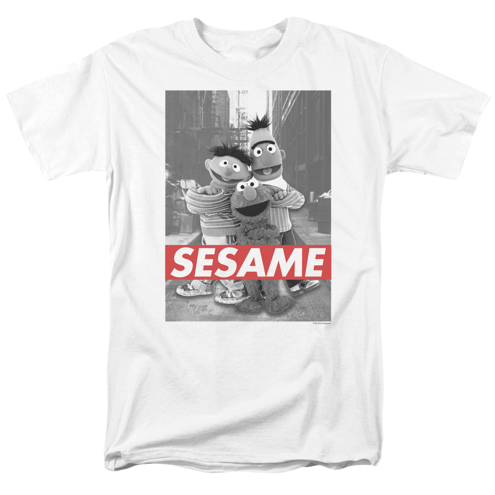 Sesame Street Sesame Men's Regular Fit T-Shirt Men's Regular Fit T-Shirt Sesame Street   