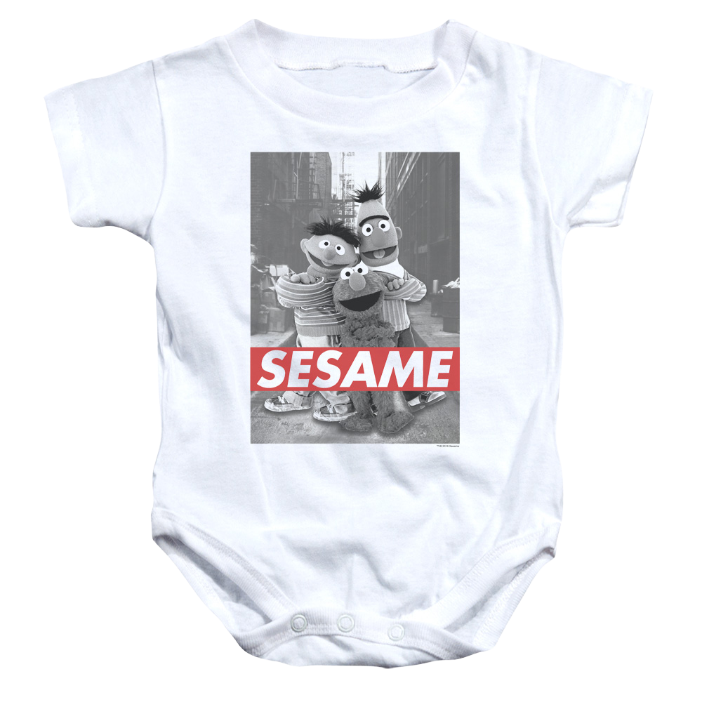Sesame Street Sesame Baby Bodysuit Baby Bodysuit Sesame Street   