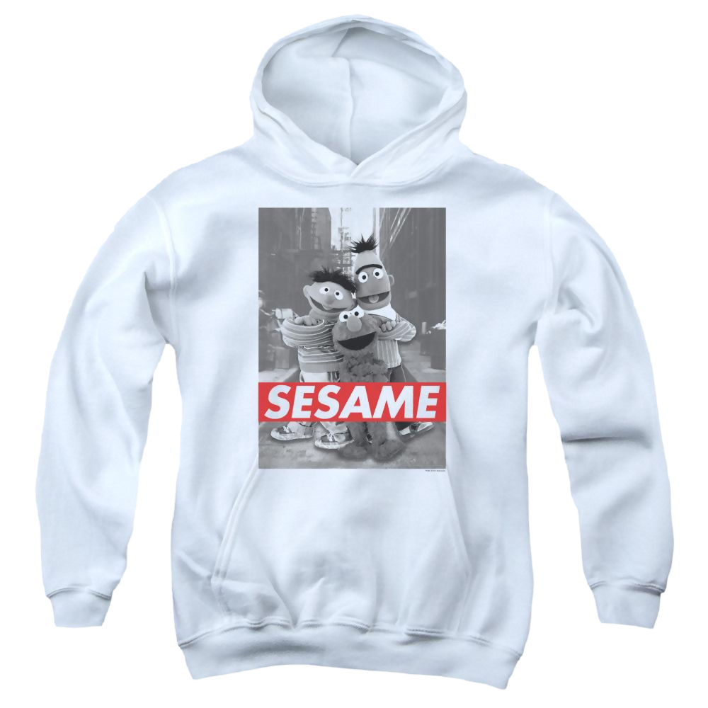 Sesame Street Sesame Youth Hoodie (Ages 8-12) Youth Hoodie (Ages 8-12) Sesame Street   