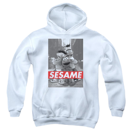 Sesame Street Sesame Youth Hoodie (Ages 8-12) Youth Hoodie (Ages 8-12) Sesame Street   