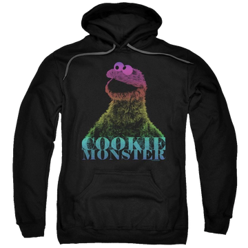 Sesame Street Cm Halftone Pullover Hoodie Pullover Hoodie Sesame Street   