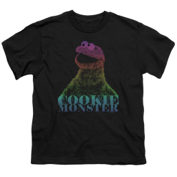 Sesame Street Cm Halftone Youth T-Shirt (Ages 8-12) Youth T-Shirt (Ages 8-12) Sesame Street   