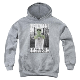 Sesame Street Talkin Trash Youth Hoodie (Ages 8-12) Youth Hoodie (Ages 8-12) Sesame Street   