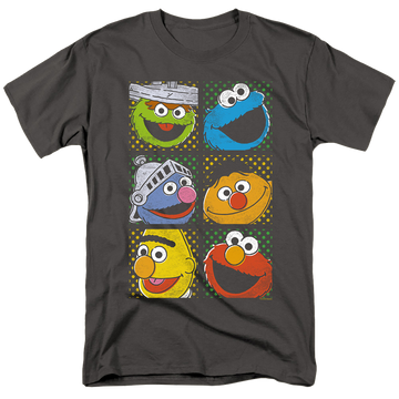 Charcoal men's regular fit t-shirt with Sesame Street Group Squares graphic