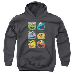 Sesame Street Group Squares - Youth Hoodie Youth Hoodie (Ages 8-12) Sesame Street   